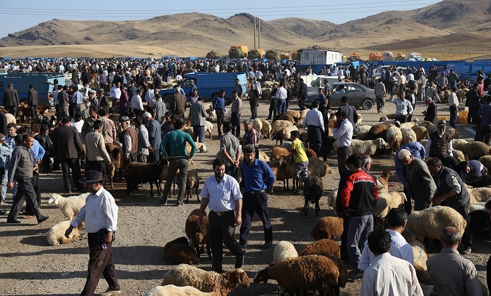 میدان دواب سلماس تعطیل شد