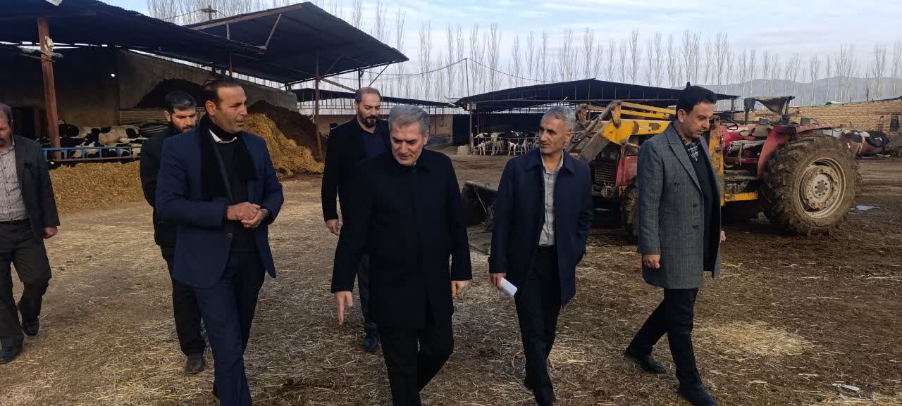 🔰 بازدید فرماندار سلماس از دامداری صنعتی