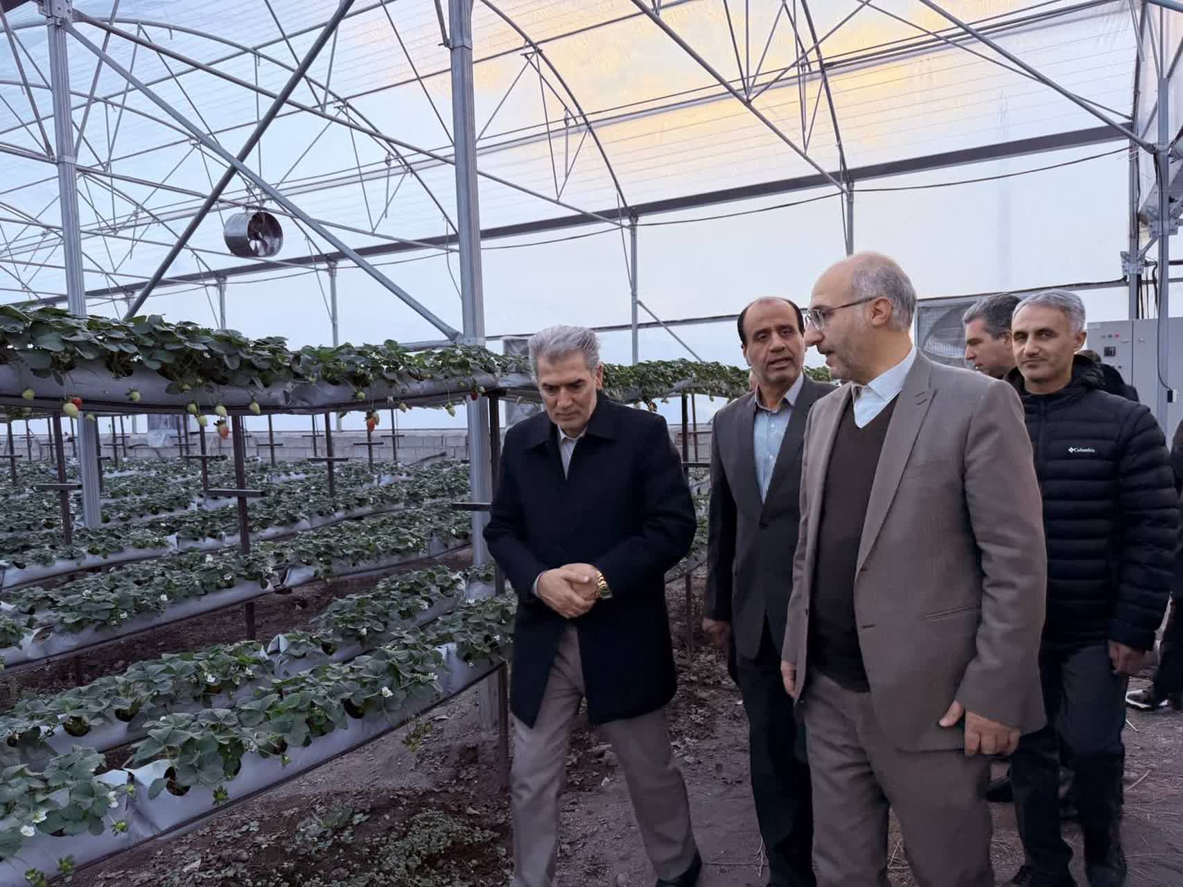 رئیس سازمان بازرسی استان آذربایجان غربی به‌همراه فرماندار شهرستان سلماس، نماینده مردم سلماس در مجلس شورای اسلامی، دادستان و جمعی از مدیران کل دستگاه‌های اجرایی استان از شهرک گلخانه‌ای شهرستان سلماس ب