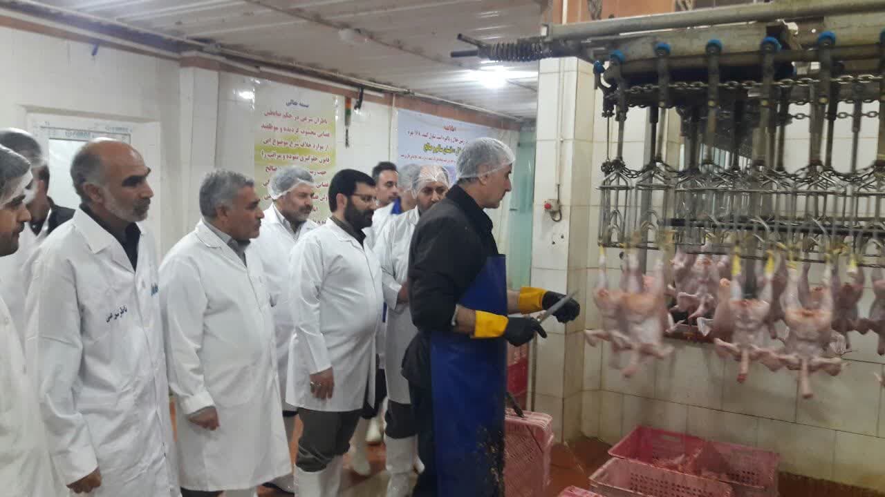 بازدید معاون هماهنگی امور اقتصادی استاندار آذربایجان غربی از کشتارگاه طیور