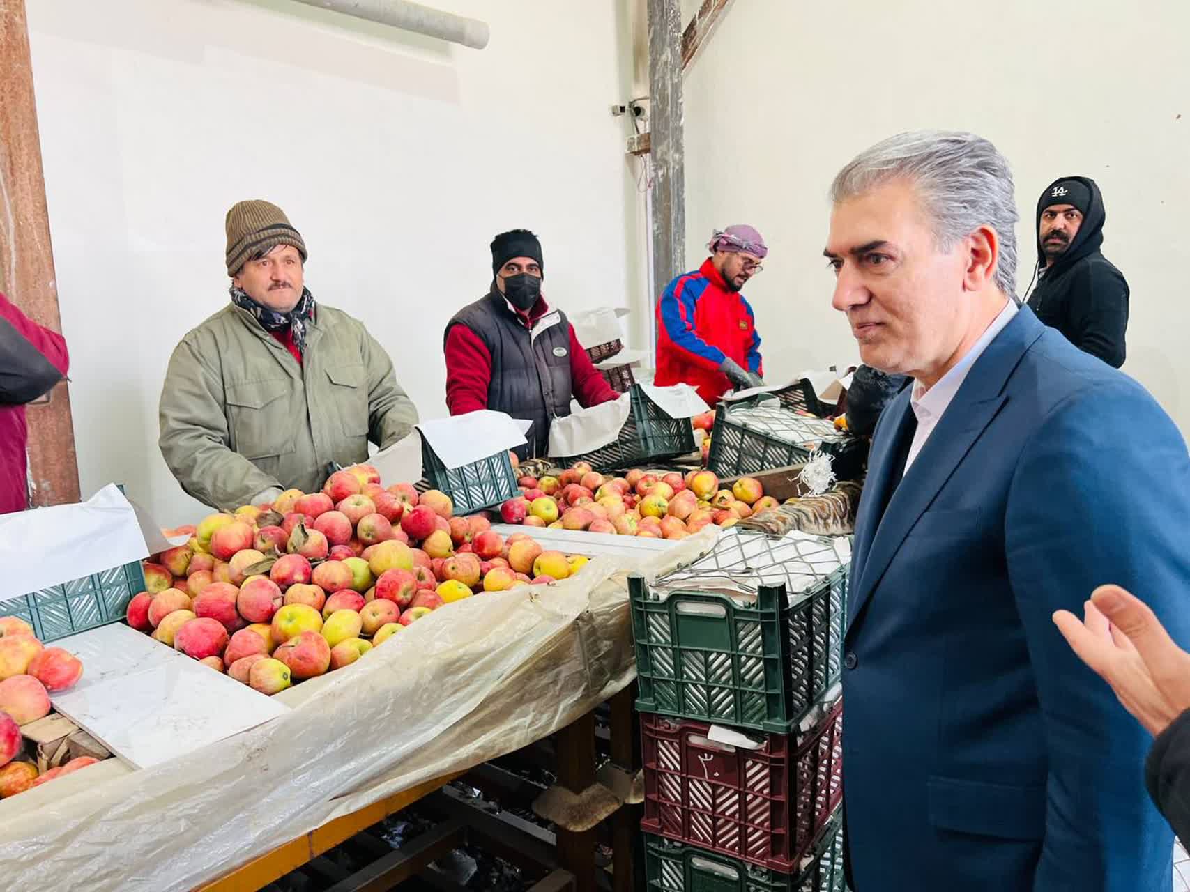 🔰بازدید فرماندار سلماس از واحد سورت و بسته‌بندی سیب در روستای هفتوان