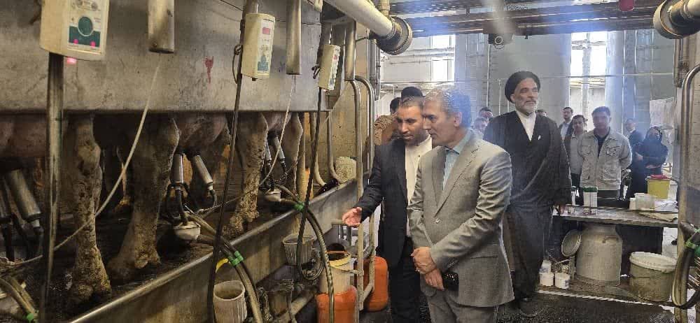 🔰 بازدید فرماندار سلماس از مجتمع پگاه با هدف توسعه بزرگترین واحد کشت و صنعت استان